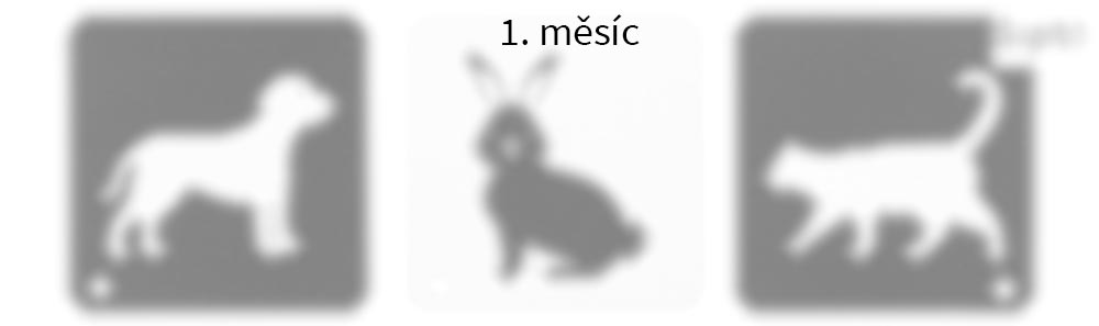 jak vidi miminka